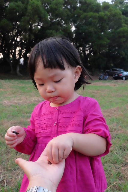 櫻桃共和國 Cherry Republic┃來自美國的品牌，產地100%直送酸櫻桃乾，莓果中的貴族超級水果，健康零食給小孩吃也放心 @飛天璇的口袋