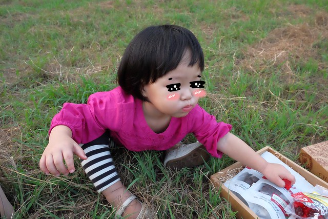 櫻桃共和國 Cherry Republic┃來自美國的品牌，產地100%直送酸櫻桃乾，莓果中的貴族超級水果，健康零食給小孩吃也放心 @飛天璇的口袋