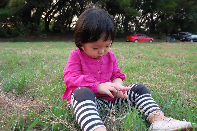 櫻桃共和國 Cherry Republic┃來自美國的品牌，產地100%直送酸櫻桃乾，莓果中的貴族超級水果，健康零食給小孩吃也放心 @飛天璇的口袋