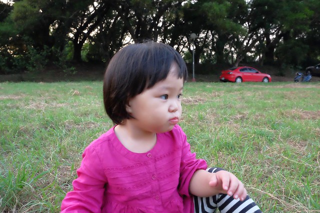 櫻桃共和國 Cherry Republic┃來自美國的品牌，產地100%直送酸櫻桃乾，莓果中的貴族超級水果，健康零食給小孩吃也放心 @飛天璇的口袋