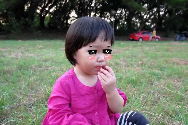 櫻桃共和國 Cherry Republic┃來自美國的品牌，產地100%直送酸櫻桃乾，莓果中的貴族超級水果，健康零食給小孩吃也放心 @飛天璇的口袋