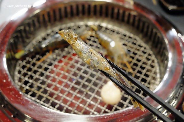 舞蟹┃台中西屯美食：$1350元~活凍帝王蟹、安格斯黑牛、頂級燒烤吃到飽，每日配送新鮮漁獲，刺身、握壽司，台灣啤酒喝到飽，Haagen-Dazs冰淇淋 @飛天璇的口袋