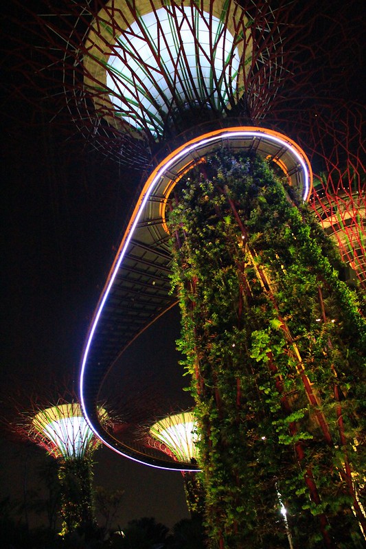 天空樹 Supertree Grove┃新加坡景點：濱海灣公園超震撼美景，走進阿凡達的星球，新加坡必遊景點推薦 @飛天璇的口袋