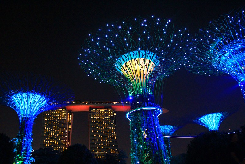天空樹 Supertree Grove┃新加坡景點：濱海灣公園超震撼美景，走進阿凡達的星球，新加坡必遊景點推薦 @飛天璇的口袋
