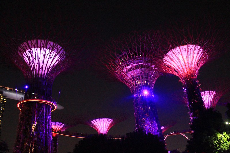 天空樹 Supertree Grove┃新加坡景點：濱海灣公園超震撼美景，走進阿凡達的星球，新加坡必遊景點推薦 @飛天璇的口袋