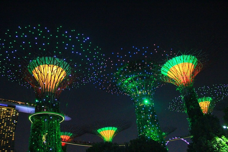 天空樹 Supertree Grove┃新加坡景點：濱海灣公園超震撼美景，走進阿凡達的星球，新加坡必遊景點推薦 @飛天璇的口袋