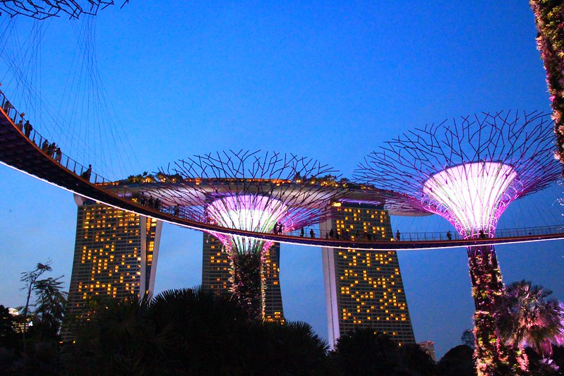 天空樹 Supertree Grove┃新加坡景點：濱海灣公園超震撼美景，走進阿凡達的星球，新加坡必遊景點推薦 @飛天璇的口袋