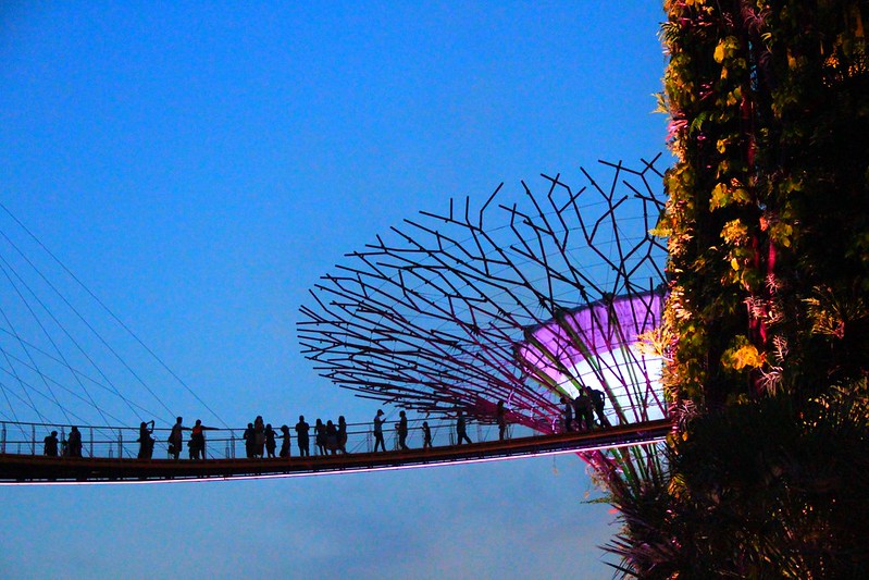天空樹 Supertree Grove┃新加坡景點：濱海灣公園超震撼美景，走進阿凡達的星球，新加坡必遊景點推薦 @飛天璇的口袋
