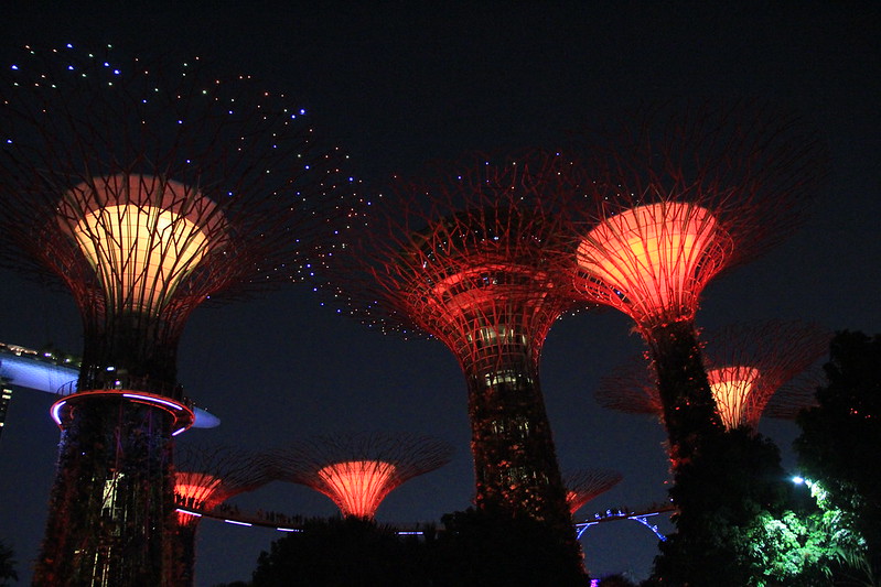 天空樹 Supertree Grove┃新加坡景點：濱海灣公園超震撼美景，走進阿凡達的星球，新加坡必遊景點推薦 @飛天璇的口袋