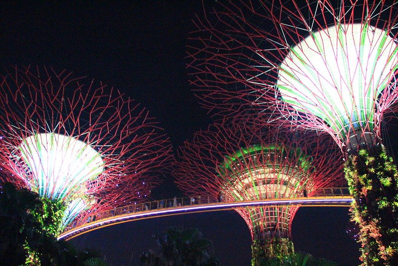 天空樹 Supertree Grove┃新加坡景點：濱海灣公園超震撼美景，走進阿凡達的星球，新加坡必遊景點推薦 @飛天璇的口袋