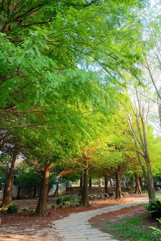 VilaVilla魔法莊園｜苗栗卓蘭景觀餐廳，結合樹屋、沙坑、溜滑梯，苗栗親子美食旅遊景點推薦 @飛天璇的口袋