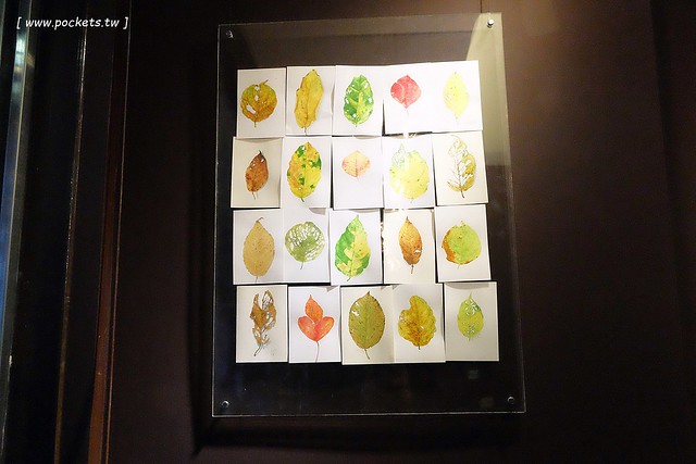 可可德歐巧克力烘焙坊 CACAO D’OR：宜蘭也有好吃的甜點下午茶，使用法國進口巧克力融合宜蘭當地食材製作，宜蘭伴手禮推薦 @飛天璇的口袋