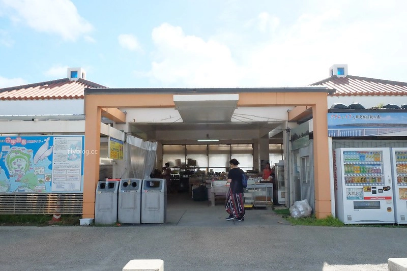 日本沖繩｜古宇利島．古宇利島美食景點TOP 7，一日遊路線及交通方式 @飛天璇的口袋