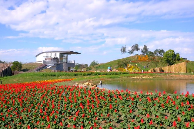 2016台中國際花毯節┃后里花田綠廊：花現新樂園~活動時間、活動日期、交通路線、活動主題、活動地點、詳細資訊&hellip; @飛天璇的口袋