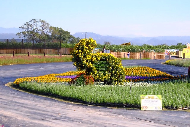 2016台中國際花毯節┃后里花田綠廊：花現新樂園~活動時間、活動日期、交通路線、活動主題、活動地點、詳細資訊&hellip; @飛天璇的口袋