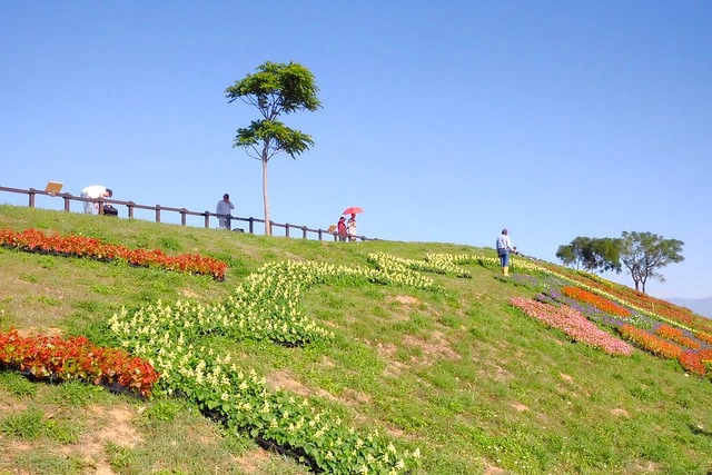 2016台中國際花毯節┃后里花田綠廊：花現新樂園~活動時間、活動日期、交通路線、活動主題、活動地點、詳細資訊&hellip; @飛天璇的口袋