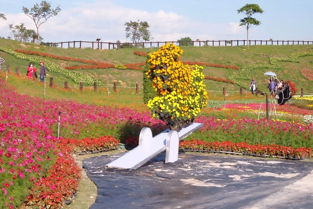 2016台中國際花毯節┃后里花田綠廊：花現新樂園~活動時間、活動日期、交通路線、活動主題、活動地點、詳細資訊&hellip; @飛天璇的口袋