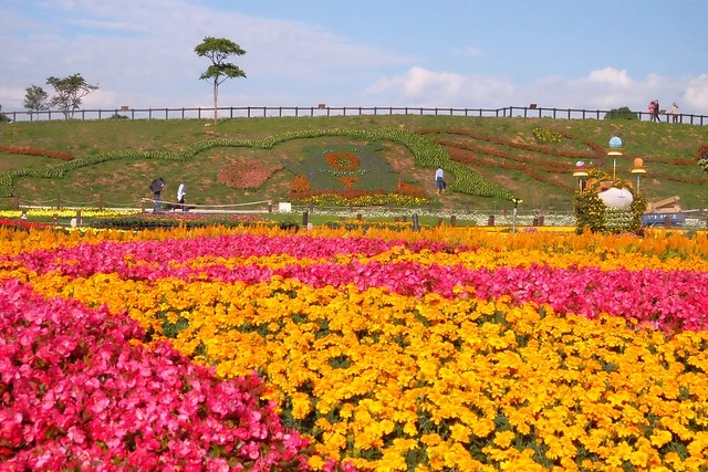 2016台中國際花毯節┃后里花田綠廊：花現新樂園~活動時間、活動日期、交通路線、活動主題、活動地點、詳細資訊&hellip; @飛天璇的口袋