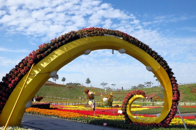 2016台中國際花毯節┃后里花田綠廊：花現新樂園~活動時間、活動日期、交通路線、活動主題、活動地點、詳細資訊&hellip; @飛天璇的口袋