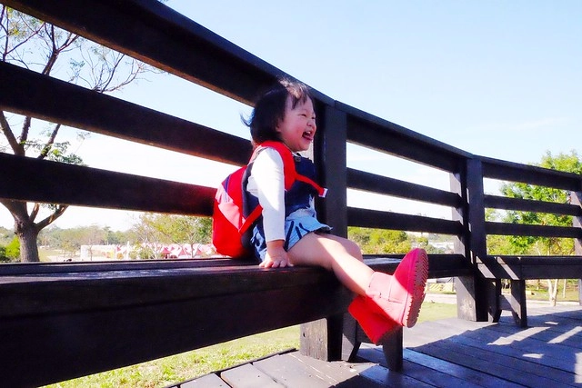 2016台中國際花毯節┃后里花田綠廊：花現新樂園~活動時間、活動日期、交通路線、活動主題、活動地點、詳細資訊&hellip; @飛天璇的口袋