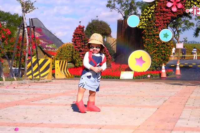 2016台中國際花毯節┃后里花田綠廊：花現新樂園~活動時間、活動日期、交通路線、活動主題、活動地點、詳細資訊&hellip; @飛天璇的口袋