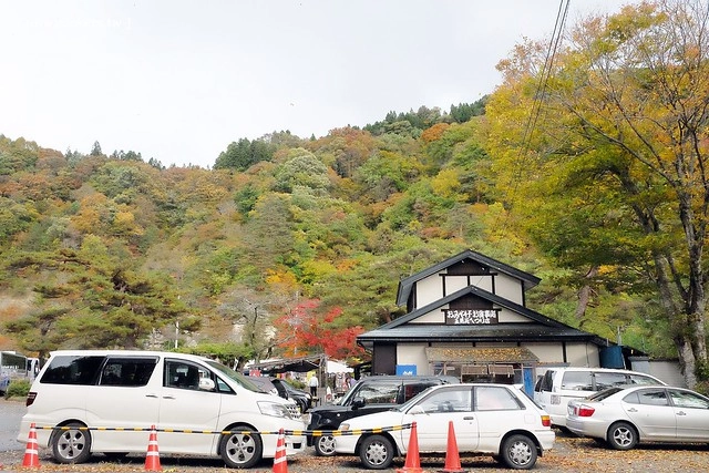 塔崖(塔のへつり)┃福島景點推薦：會津鐵道隱藏版密境，百萬年造就絕美風景，體驗大自然的鬼斧神工，秋天最適合賞楓旅遊 @飛天璇的口袋