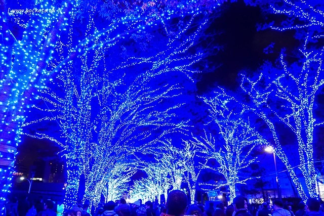 【日本東京】澀谷青之洞窟 SHIBUYA~長約800公尺的藍色燈海，從代代木公園延伸到澀谷公園，2017年資訊更新：2017年11月22日（星期三） – 2017年12月31日 @飛天璇的口袋