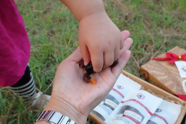 櫻桃共和國 Cherry Republic┃來自美國的品牌，產地100%直送酸櫻桃乾，莓果中的貴族超級水果，健康零食給小孩吃也放心 @飛天璇的口袋