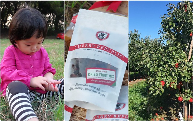 櫻桃共和國 Cherry Republic┃來自美國的品牌，產地100%直送酸櫻桃乾，莓果中的貴族超級水果，健康零食給小孩吃也放心 @飛天璇的口袋