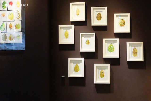 可可德歐巧克力烘焙坊 CACAO D’OR：宜蘭也有好吃的甜點下午茶，使用法國進口巧克力融合宜蘭當地食材製作，宜蘭伴手禮推薦 @飛天璇的口袋