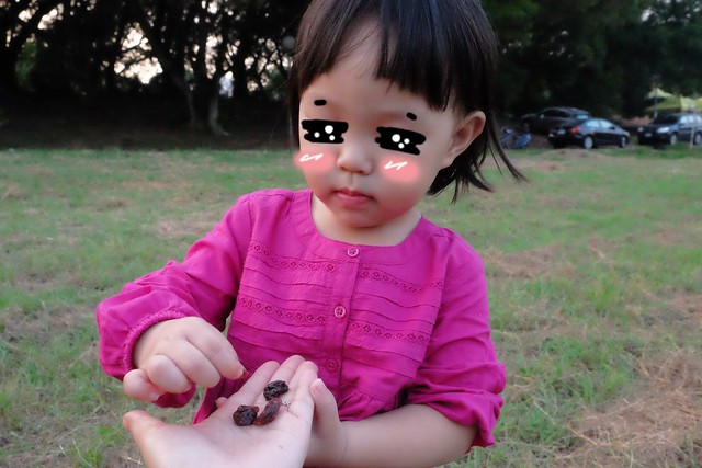 櫻桃共和國 Cherry Republic┃來自美國的品牌，產地100%直送酸櫻桃乾，莓果中的貴族超級水果，健康零食給小孩吃也放心 @飛天璇的口袋