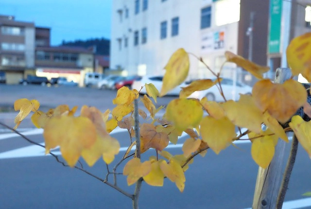 日本岐阜｜飛驒花里之湯高山櫻庵．高山JR車站步行3分鐘，享受一泊二食和獨立湯屋 @飛天璇的口袋