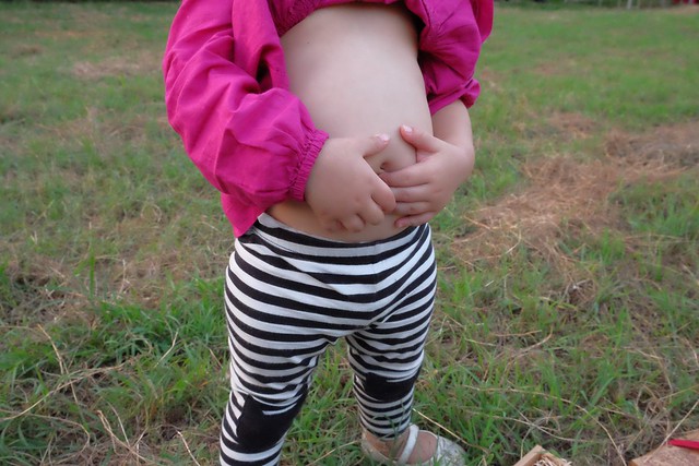 櫻桃共和國 Cherry Republic┃來自美國的品牌，產地100%直送酸櫻桃乾，莓果中的貴族超級水果，健康零食給小孩吃也放心 @飛天璇的口袋