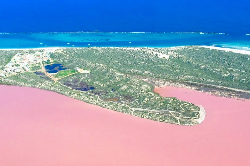 澳洲珀斯｜Hutt Lagoon 粉紅湖，西澳特別的自然景觀，上帝遺落小玫瑰，IG打卡熱門景點 @飛天璇的口袋
