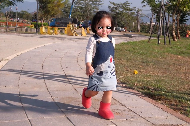 2016台中國際花毯節┃后里花田綠廊：花現新樂園~活動時間、活動日期、交通路線、活動主題、活動地點、詳細資訊&hellip; @飛天璇的口袋