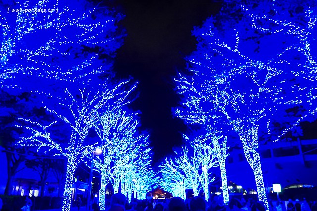 【日本東京】澀谷青之洞窟 SHIBUYA~長約800公尺的藍色燈海，從代代木公園延伸到澀谷公園，2017年資訊更新：2017年11月22日（星期三） – 2017年12月31日 @飛天璇的口袋