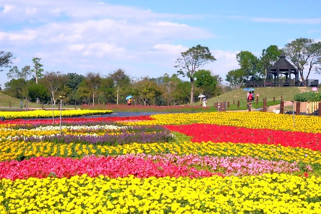2016台中國際花毯節┃后里花田綠廊：花現新樂園~活動時間、活動日期、交通路線、活動主題、活動地點、詳細資訊&hellip; @飛天璇的口袋