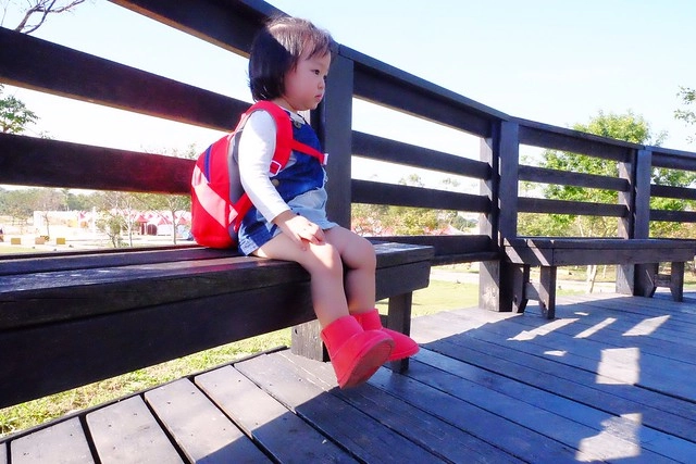 2016台中國際花毯節┃后里花田綠廊：花現新樂園~活動時間、活動日期、交通路線、活動主題、活動地點、詳細資訊&hellip; @飛天璇的口袋