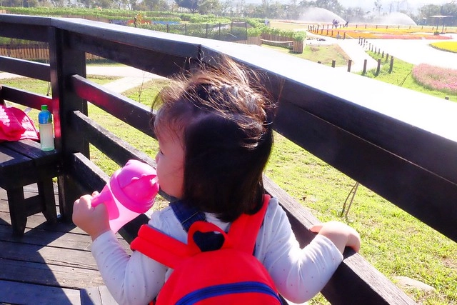 2016台中國際花毯節┃后里花田綠廊：花現新樂園~活動時間、活動日期、交通路線、活動主題、活動地點、詳細資訊&hellip; @飛天璇的口袋