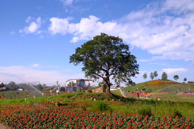 2016台中國際花毯節┃后里花田綠廊：花現新樂園~活動時間、活動日期、交通路線、活動主題、活動地點、詳細資訊&hellip; @飛天璇的口袋
