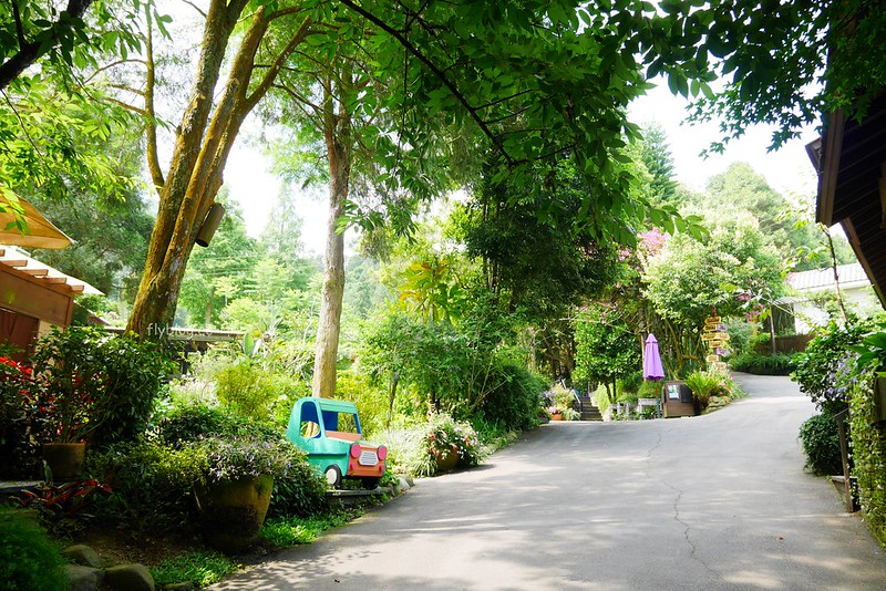 台中新社｜緩慢尋路香草House．住在薰衣草森林裡享受大自然，晚上觀賞夜間童話旋轉木馬 @飛天璇的口袋