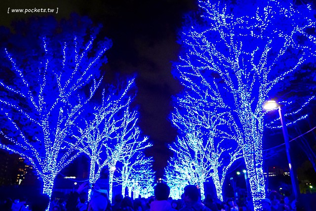 【日本東京】澀谷青之洞窟 SHIBUYA~長約800公尺的藍色燈海，從代代木公園延伸到澀谷公園，2017年資訊更新：2017年11月22日（星期三） – 2017年12月31日 @飛天璇的口袋