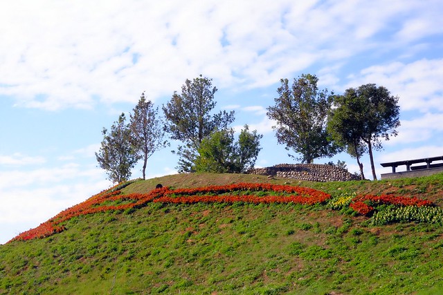 2016台中國際花毯節┃后里花田綠廊：花現新樂園~活動時間、活動日期、交通路線、活動主題、活動地點、詳細資訊&hellip; @飛天璇的口袋