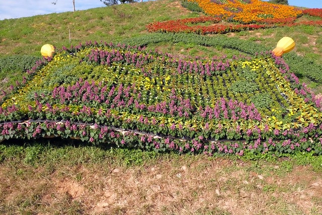 2016台中國際花毯節┃后里花田綠廊：花現新樂園~活動時間、活動日期、交通路線、活動主題、活動地點、詳細資訊&hellip; @飛天璇的口袋