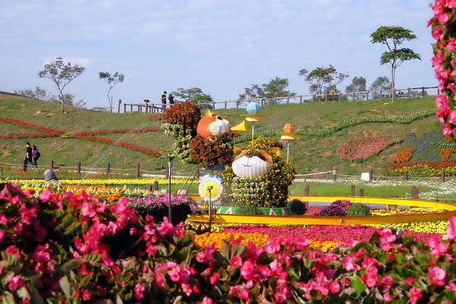 2016台中國際花毯節┃后里花田綠廊：花現新樂園~活動時間、活動日期、交通路線、活動主題、活動地點、詳細資訊&hellip; @飛天璇的口袋