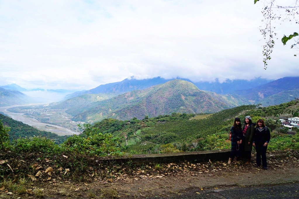 【南投信義】烏松崙石家梅園，南投三大賞梅景點之一，居高鄰下鳥瞰陳友蘭溪之美 @飛天璇的口袋