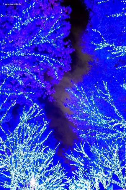 【日本東京】澀谷青之洞窟 SHIBUYA~長約800公尺的藍色燈海，從代代木公園延伸到澀谷公園，2017年資訊更新：2017年11月22日（星期三） – 2017年12月31日 @飛天璇的口袋