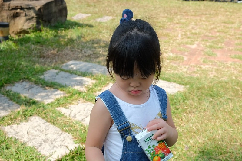 VilaVilla魔法莊園｜苗栗卓蘭景觀餐廳，結合樹屋、沙坑、溜滑梯，苗栗親子美食旅遊景點推薦 @飛天璇的口袋