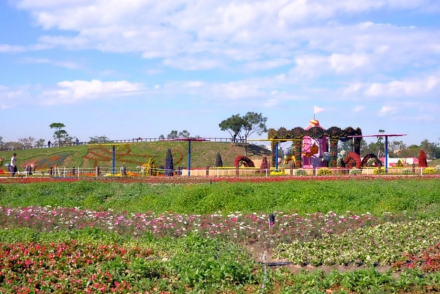 2016台中國際花毯節┃后里花田綠廊：花現新樂園~活動時間、活動日期、交通路線、活動主題、活動地點、詳細資訊&hellip; @飛天璇的口袋