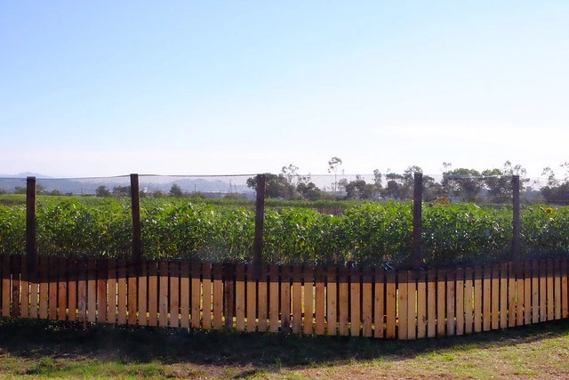 2016台中國際花毯節┃后里花田綠廊：花現新樂園~活動時間、活動日期、交通路線、活動主題、活動地點、詳細資訊&hellip; @飛天璇的口袋